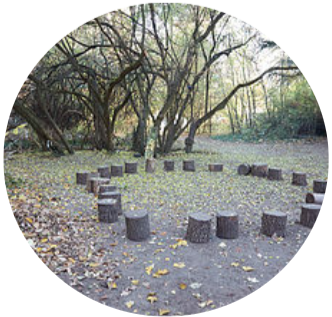 Waldkindergarten Dreieich