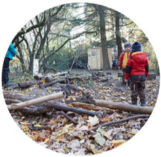 Waldkindergarten Dreieich