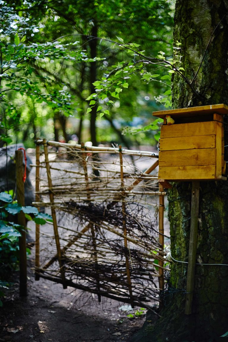  Foto zu Impressionen – Waldkindergarten Dreieich 