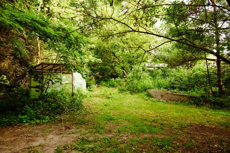  Impressionen – Waldkindergarten Dreieich 