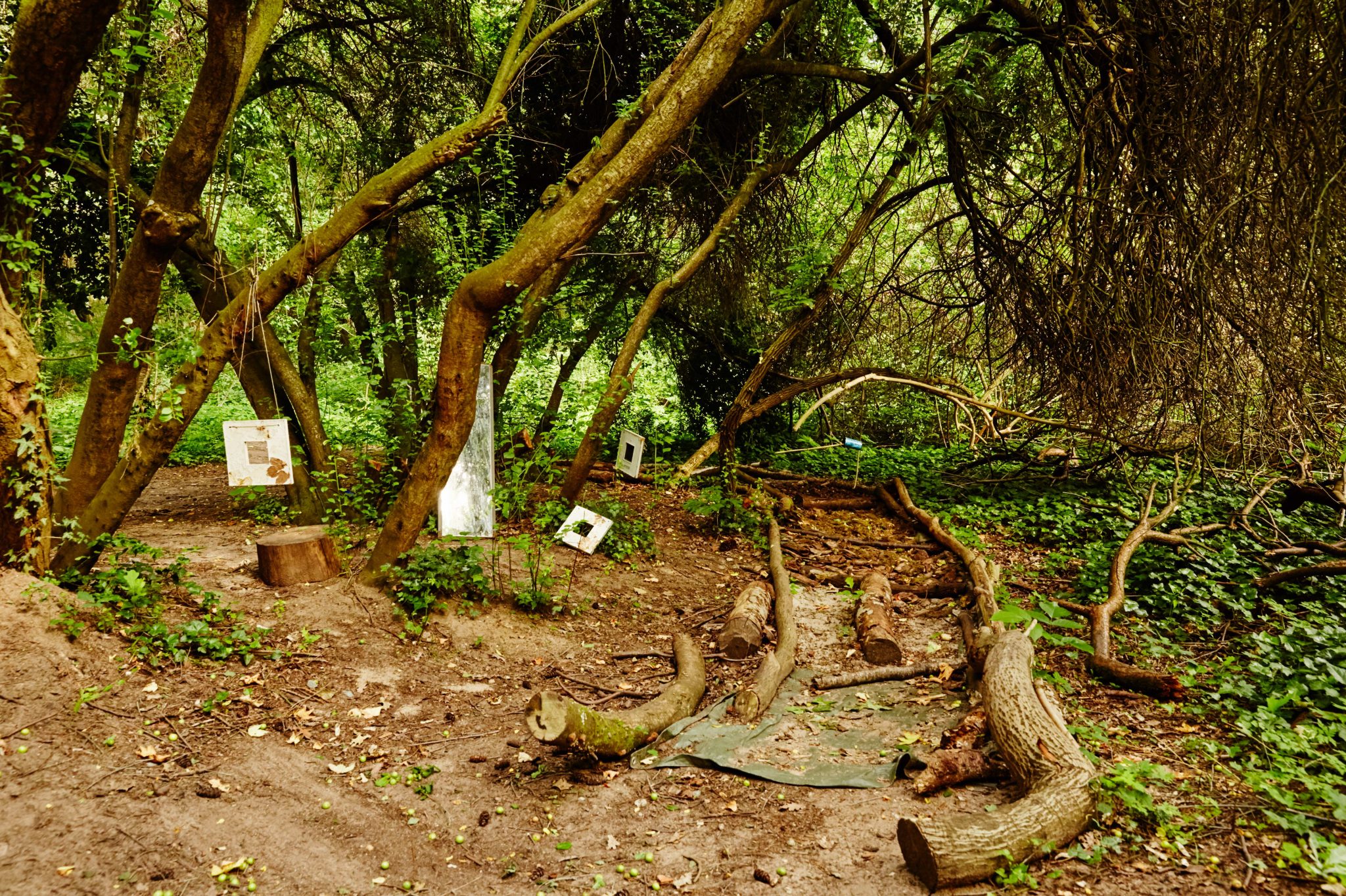  Impressionen – Waldkindergarten Dreieich Bildidee 